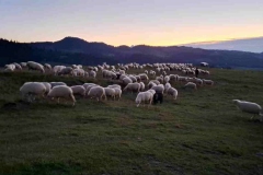 22da237d-1924-4778-8ac2-5b36948cd83a