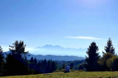 4475c68f-80fa-49a9-89b1-554e21416792