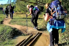 c1234b81-075b-4065-a913-e83ed73aa622