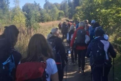 f18195d2-68dc-4eb6-a11d-bfaf08ebecf6