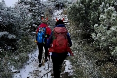 565205293_1318183519519752_1825531999138372046_n