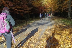 565511530_1179678624212987_1857814474694413154_n