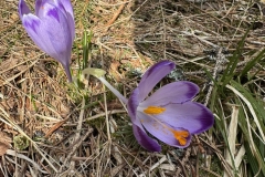 650911051_944541001417643_3242428883144685656_n