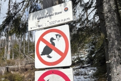 652863653_943650325247414_3567600382246723550_n