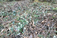 651010263_27274784625443799_6820647339290104214_n