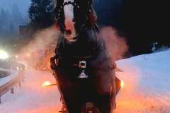 36d6af37-6483-4250-9cf3-513ad6179d1c