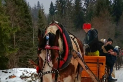 3c060840-7fe5-4f69-a398-a0c34df7d160