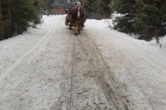 624064616_2259920231202907_5246276738051923427_n