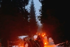 eb3ecb5f-6c08-4826-8020-5ec5fd2d6f67