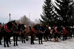 fa34de67-35b7-41ef-bead-eb520e9dddd3