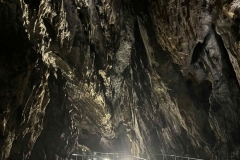 f15b541c-f5ec-47bd-b056-e71862773868