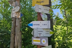 366737013_10232057948177758_2360067751937223722_n