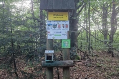 368327260_252729974354234_9113288772152563558_n