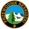 ico-przewodnik